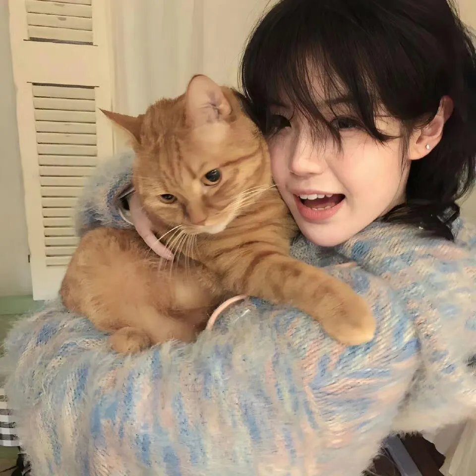 贝利叶一家国语